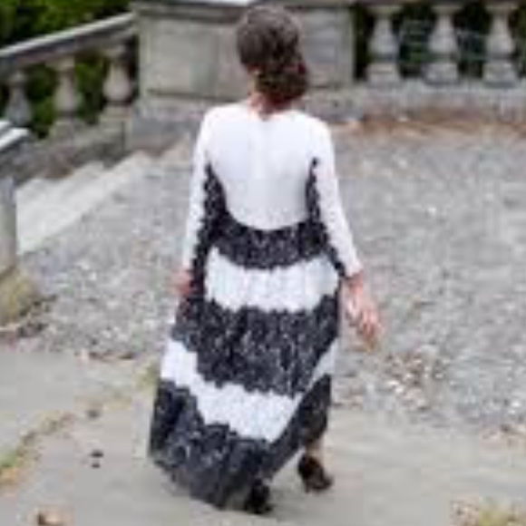 Dainty Jewells Dresses & Skirts - Dainty Jewell’s Exquisite Symphony Dress